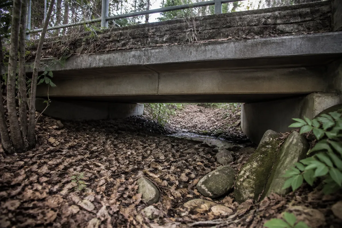 Vista cercana de elementos útiles para estudiar la evaluación cotidiana de corredores verdes urbanos