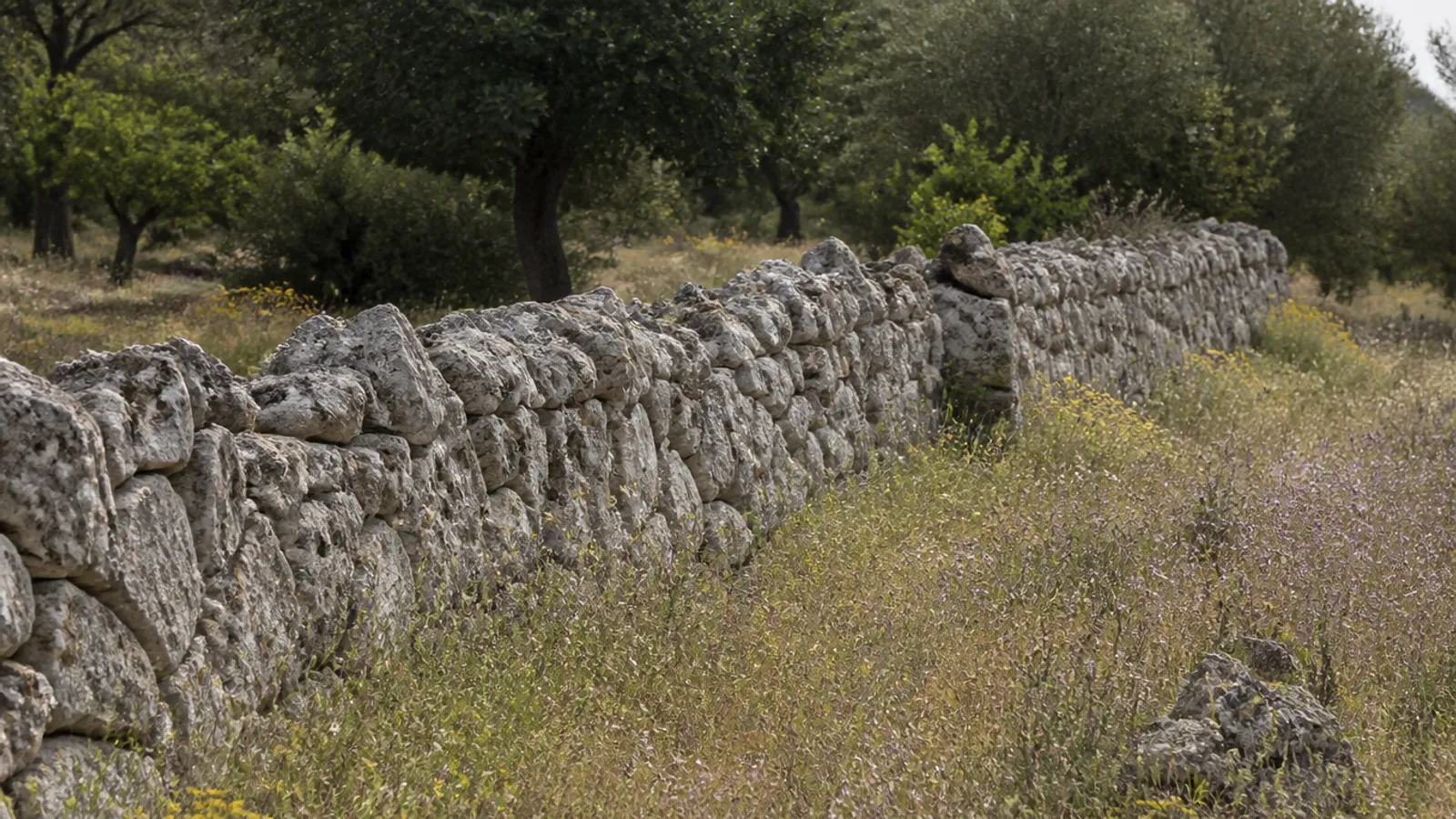 Quién usa un muro de piedra seca y por qué conservarlo