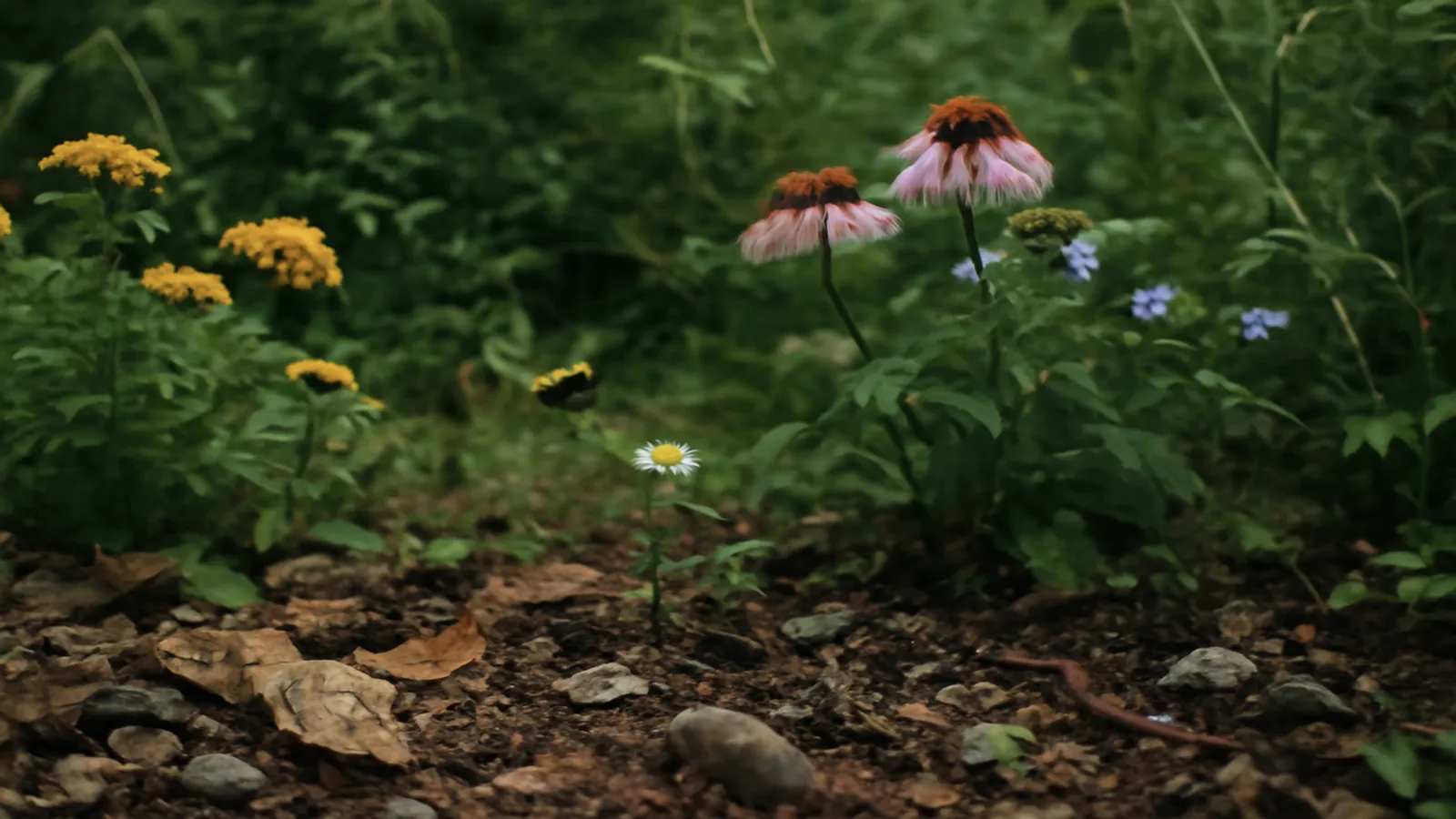 Cómo hacer un inventario rápido de invertebrados en un jardín