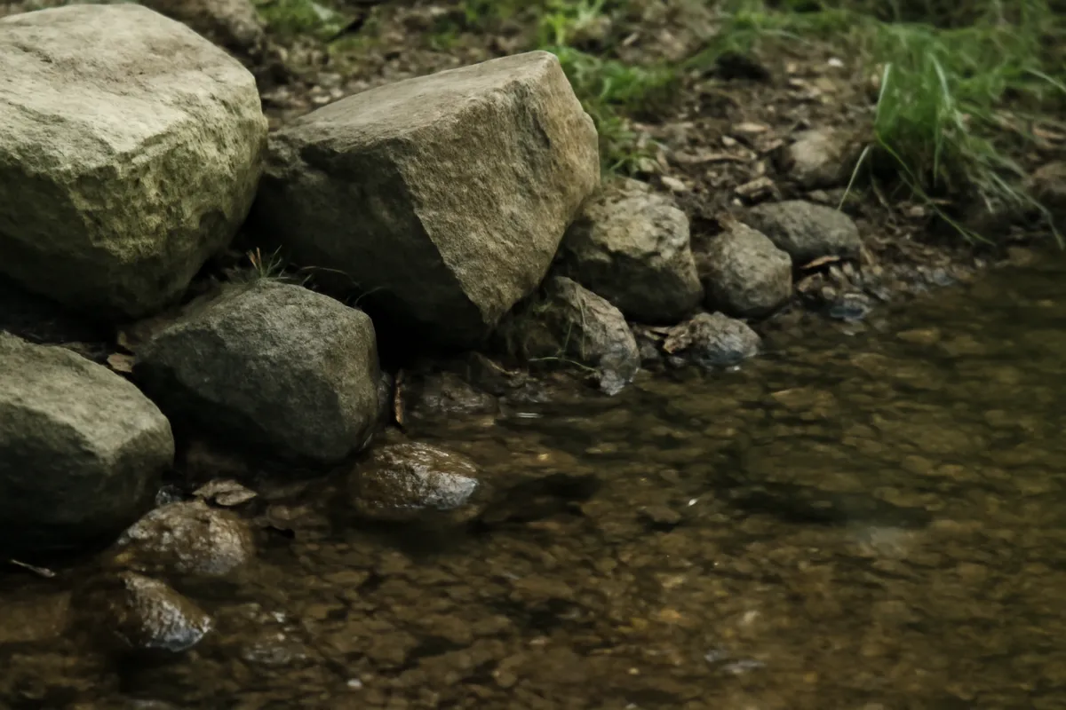 Detalle documental sobre el uso de bebederos improvisados durante la sequía en su contexto natural